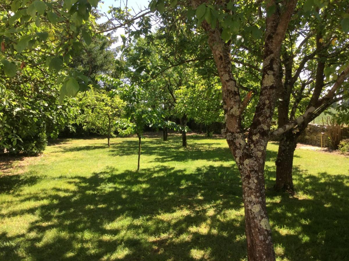 Les Noyers Aulnay Bed & Breakfast Aulnay  ภายนอก รูปภาพ